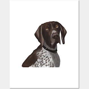 Cute German Shorthaired Pointer Drawing Posters and Art